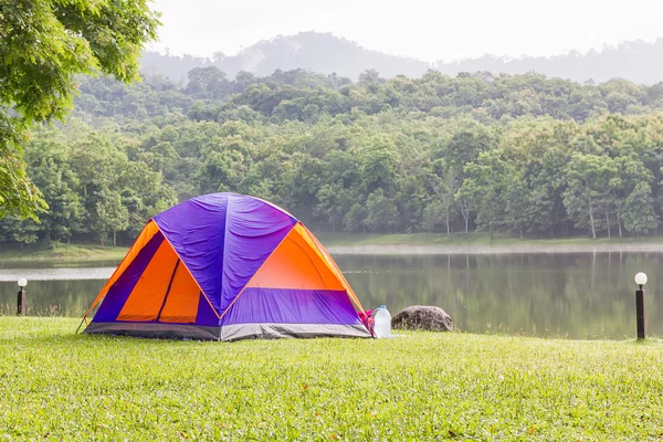 Dome tents camping in forest — Stock Photo, Image