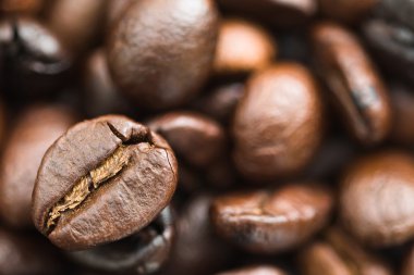 kavrulmuş kahverengi kahve çekirdekleri