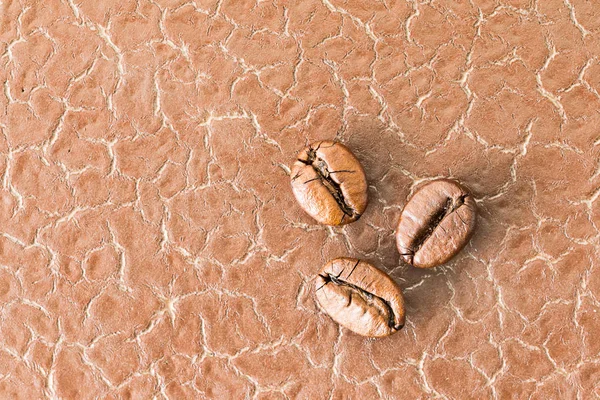 Von oben geröstete Kaffeebohnen auf weiß — Stockfoto