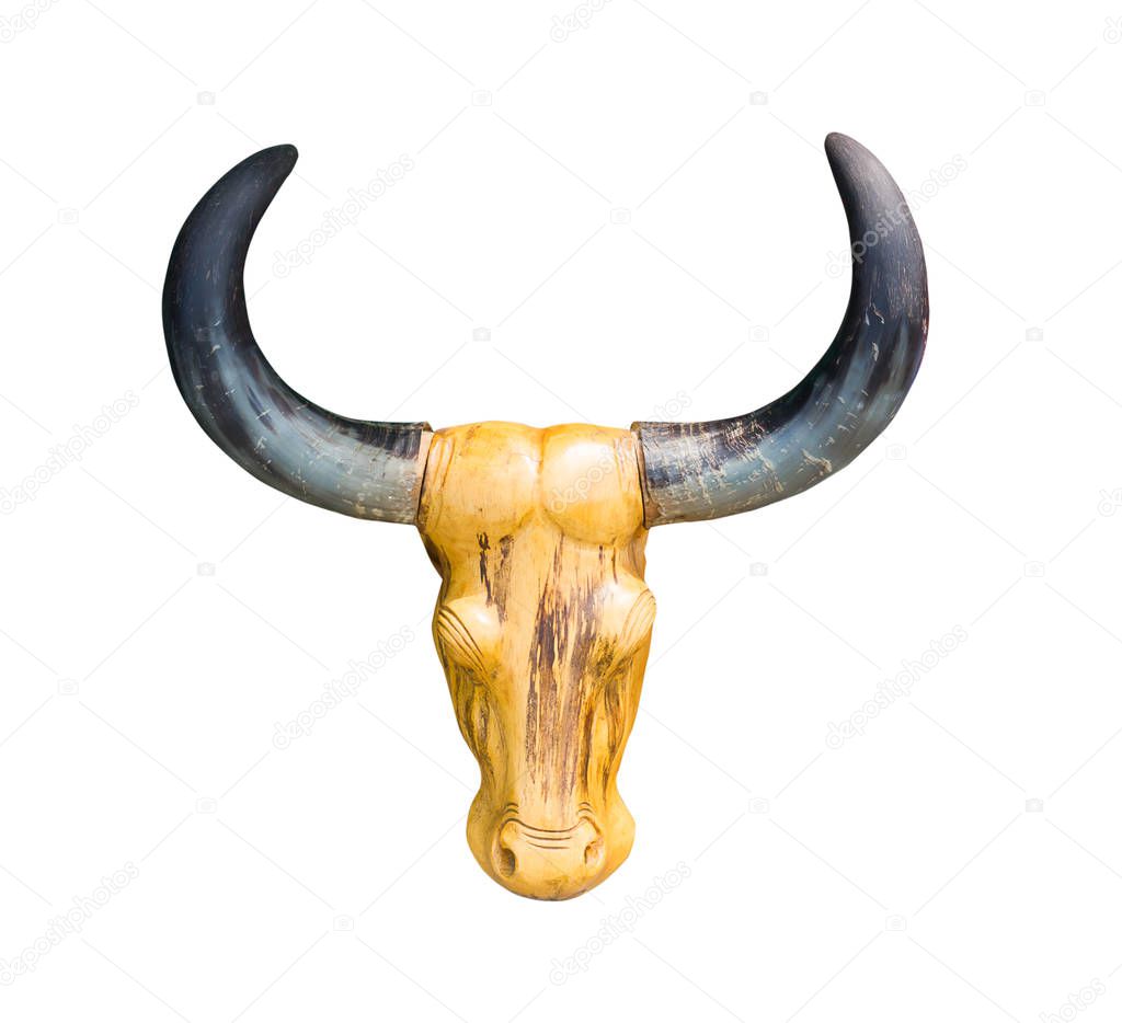 Head bull skull on white