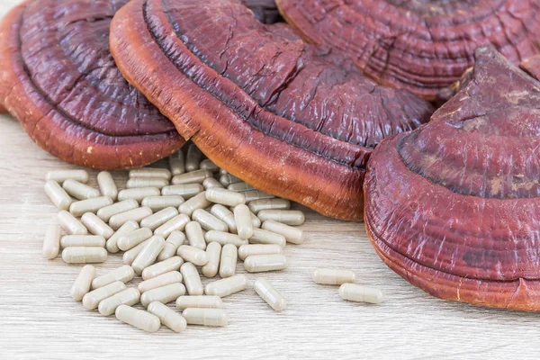 Ling zhi paddestoel of Ganoderma lucidum capsule — Stockfoto