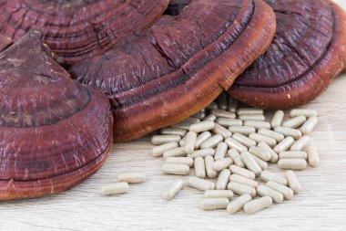 Ling zhi mantar veya Ganoderma Lucidium kapsül 