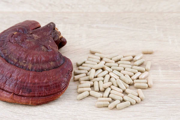 Ganoderma lucidum Kapsel - ling zhi Pilz — Stockfoto