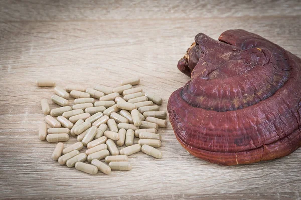 Ganoderma lucidum capsule - Ling zhi paddestoel — Stockfoto