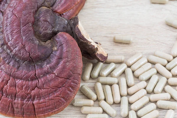 Ling zhi fungo o Ganoderma lucidum capsula — Foto Stock