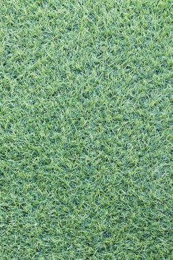 Yapay yeşil çim spor sahası