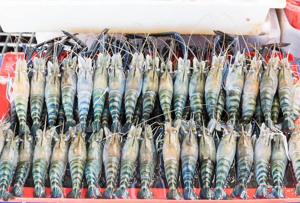 Langostino gigante fresco —  Fotos de Stock