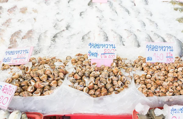 Gevlekte babylon shell verkocht in de markt — Stockfoto