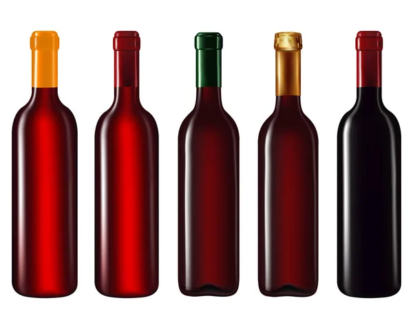 Wine bottles in row — Stock Vector