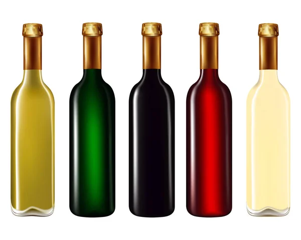 Garrafas de vinho isoladas em branco — Vetor de Stock