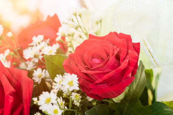 Ramo de rosas rojas de cerca —  Fotos de Stock