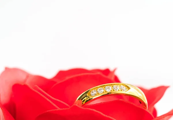 Feche as rosas vermelhas e anéis de ouro no branco — Fotografia de Stock
