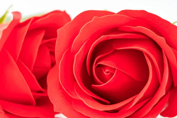 Fausses roses en plastique rouge sur blanc — Photo