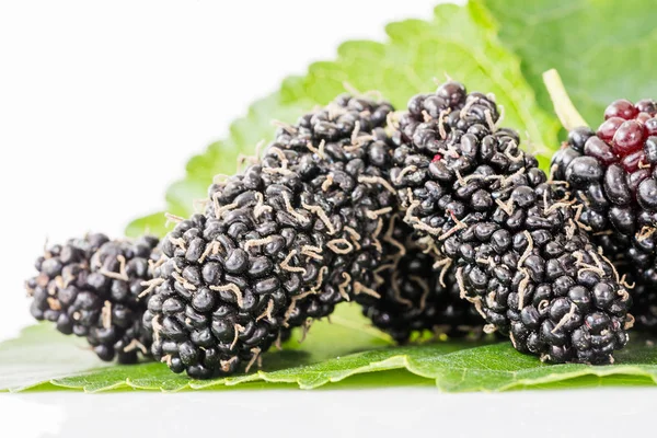 Close up mulberry fruit with green leaf — Stock Photo, Image