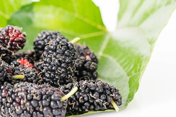 Close up mulberry fruit with green leaf — Stock Photo, Image