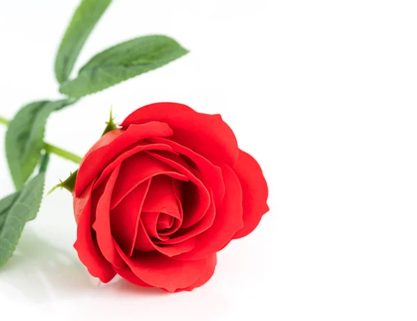 Simple rouge en plastique fausses roses sur blanc — Photo