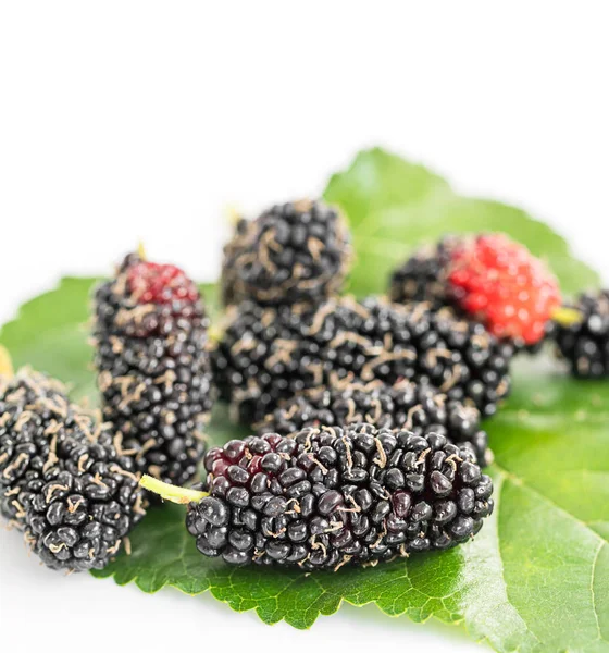 Mulberry with green leaf on the white — Stock Photo, Image