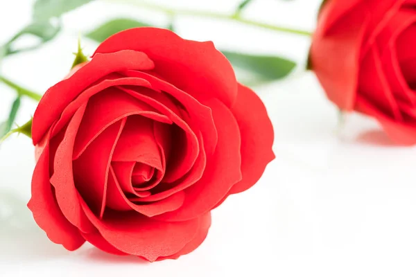 Fausses roses en plastique rouge sur blanc — Photo