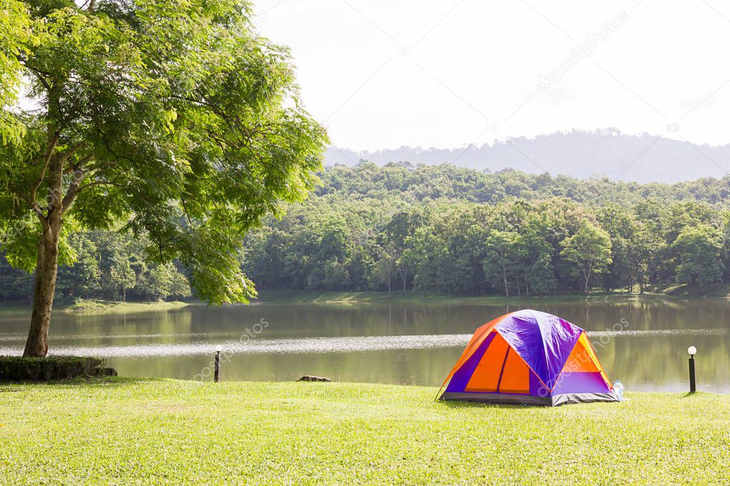 Dome tents camping in forest camping site