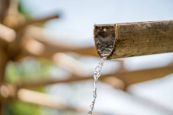 水と竹泉 — ストック写真