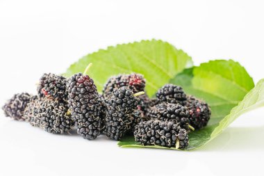 Yeşil yaprak dut meyve yukarıya kapatmak 