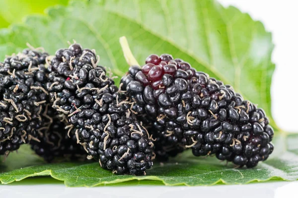 Close up mulberry fruit with green leaf — Stock Photo, Image