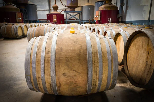 Wine barrels in the cellar of the winery — Stock Photo, Image