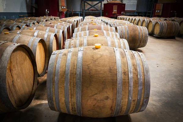 Wine barrels in the cellar of the winery — Stock Photo, Image