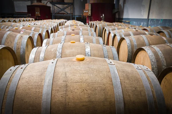 Wine barrels in the cellar of the winery — Stock Photo, Image