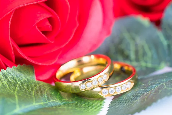 Cierre Anillo de oro y rosas rojas sobre blanco —  Fotos de Stock