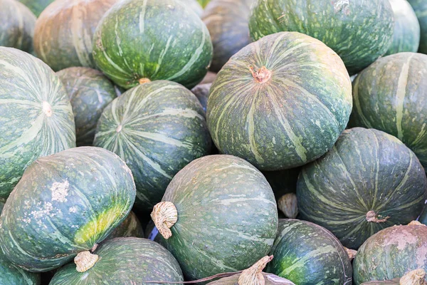 Bunch of green pumpkins for sale — Stock Photo, Image