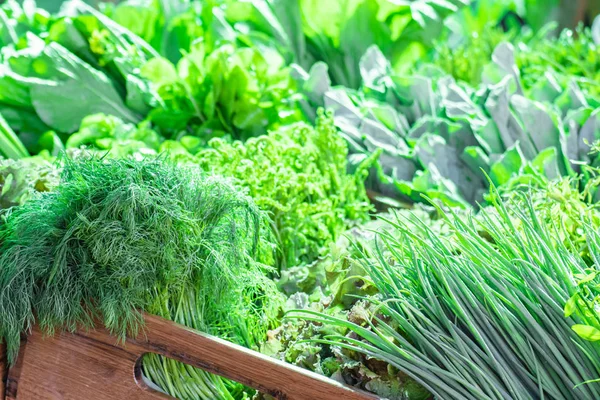 Čerstvé Ekologické Produkty Čerstvá Zelenina Byliny Ekologických Produktů — Stock fotografie