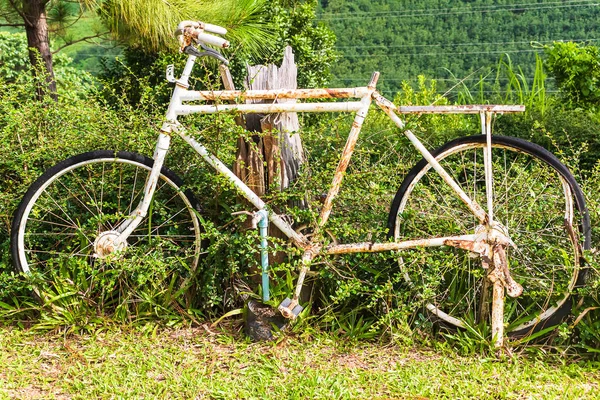 Stary Biały Rower Zardzewiałym Zaparkowanym Ogrodzie — Zdjęcie stockowe