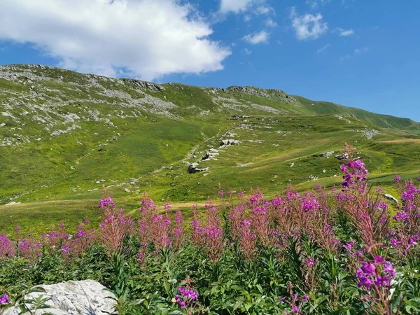 View Tuscan Emilian Apennine — Stock Photo, Image