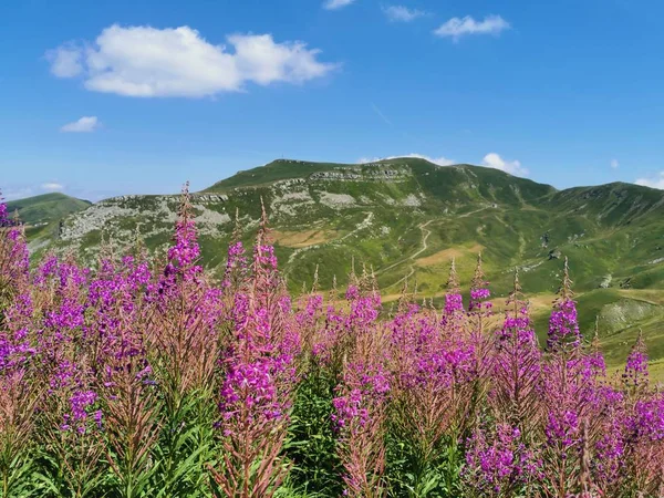 Toskana Emilian Apennine Manzarası — Stok fotoğraf