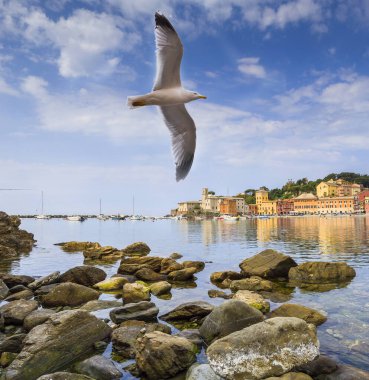 Seagull flies over the bay of silence in Sestri Levante clipart