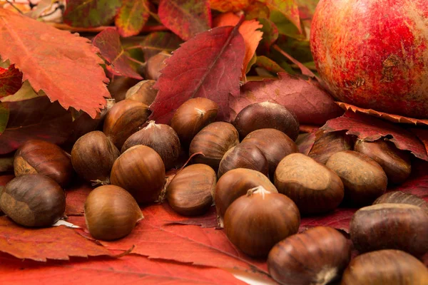 Foglie d'autunno e castagne autunnali — Foto Stock