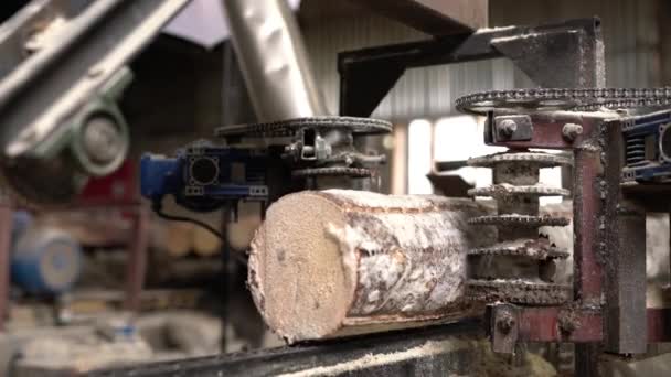 Industria maderera. Vista de la máquina aserradora de troncos — Vídeos de Stock