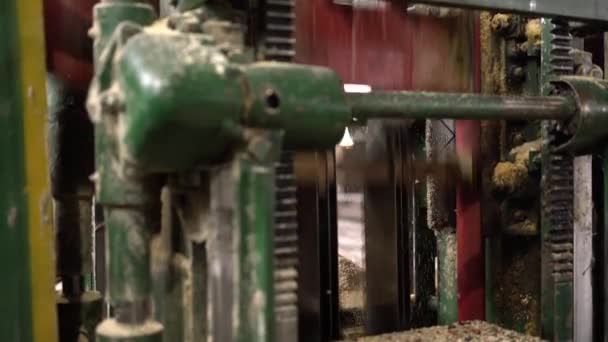 Weergave van zagen bewegen snel op machine, close-up — Stockvideo