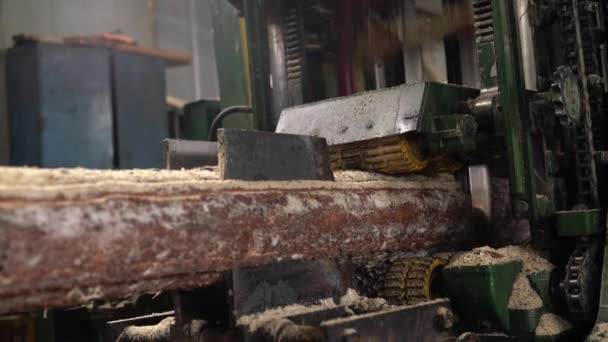 Faipar. Nézd a fűrészgépek gerendák fűrészeléséhez, közeli — Stock videók