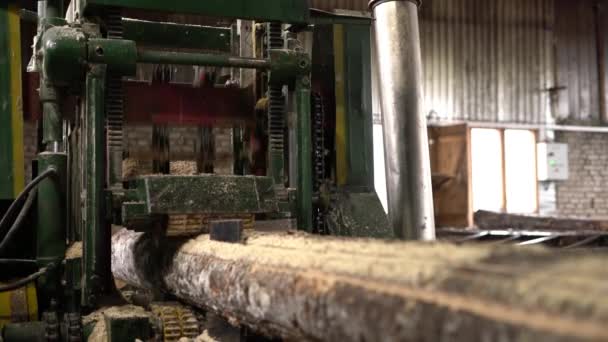 Worker cleans sawdust from log during sawing — Αρχείο Βίντεο