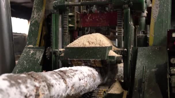 Moulin à bois. Vue du rondin de sciage de la machine — Video