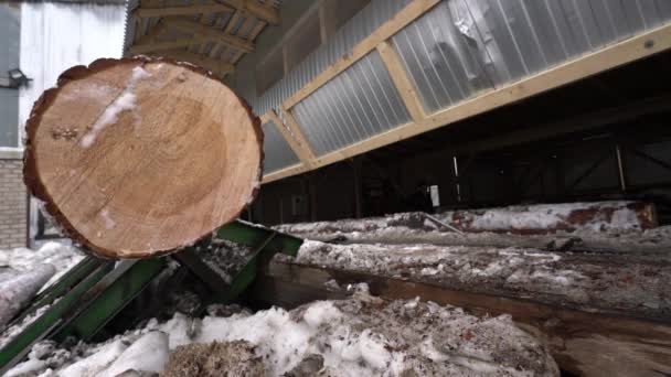 Hout molen in de winter. Uitzicht op transportband — Stockvideo