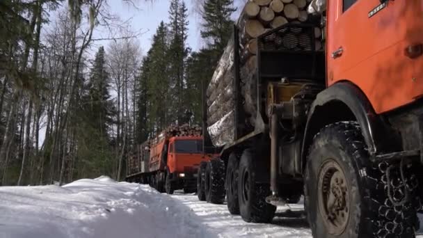 Camiones cargados con madera salen del bosque — Vídeos de Stock