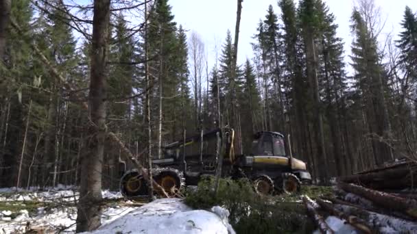 Προβολή του φορτωτή ξυλείας βόλτες μέσα από δάσος — Αρχείο Βίντεο