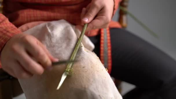 Pohled ze řemeslník čistí proutí z kůry, detail — Stock video