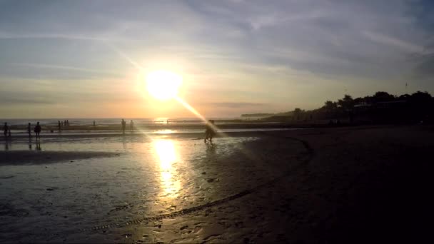 Visa semesterfirare människor springer runt på stranden — Stockvideo