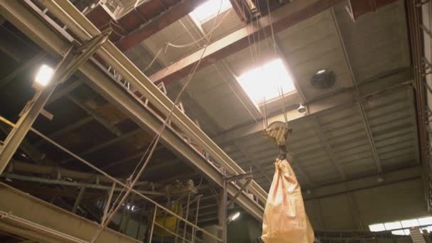 Промышленность. Вид на подвесный кран на старом заводе — стоковое видео