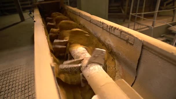 벽돌 산업입니다. 볼 스크류 컨베이어, 근접 — 비디오