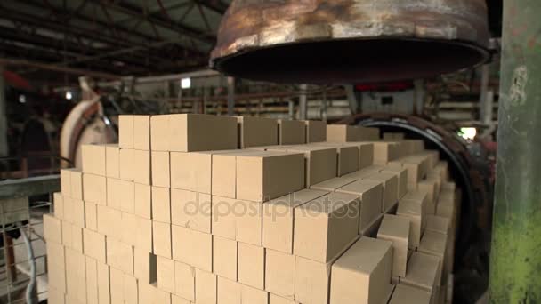 View on transportation of bricks for drying — Stock Video